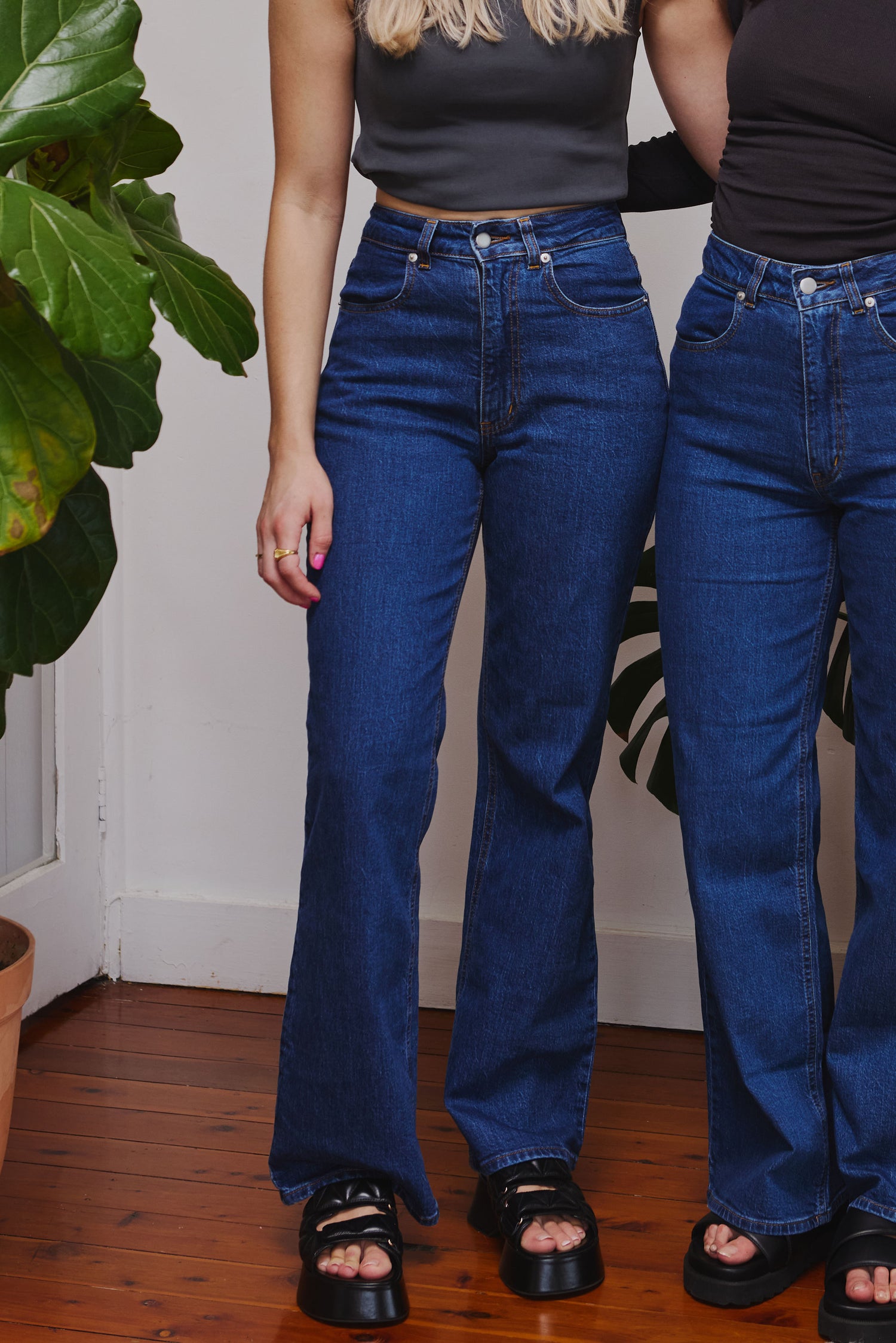 Joelene Jean | Indigo